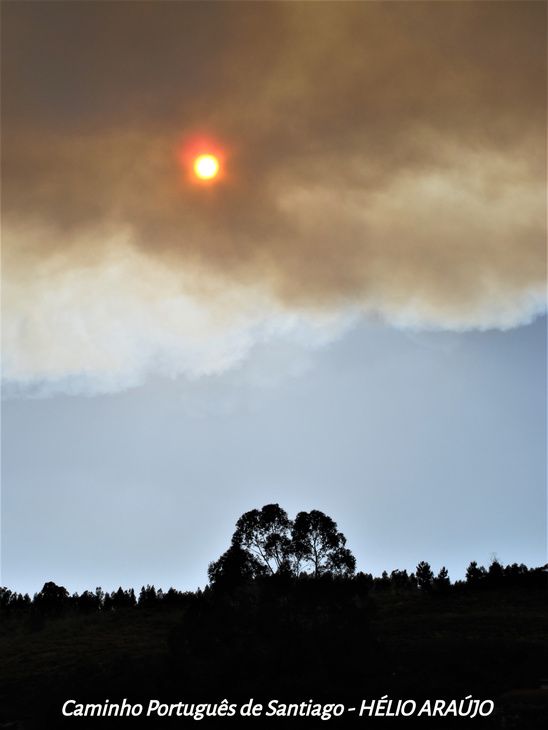 Caminho Português de Santiago