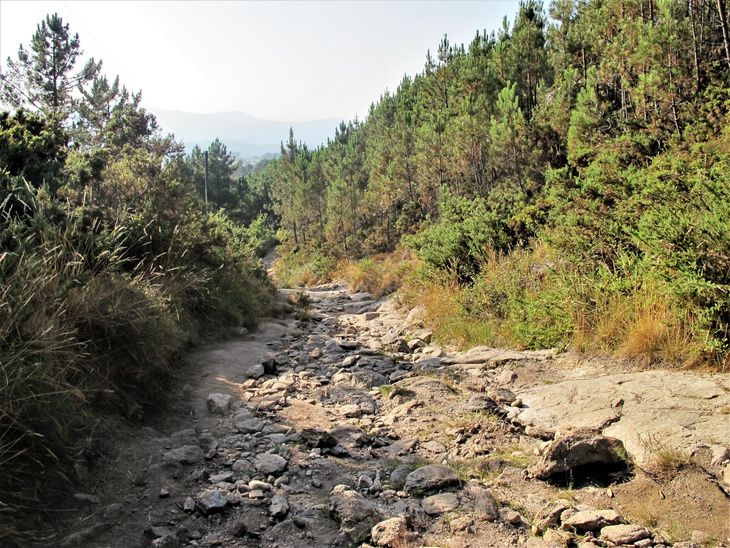 Trilha de pedras no Caminho